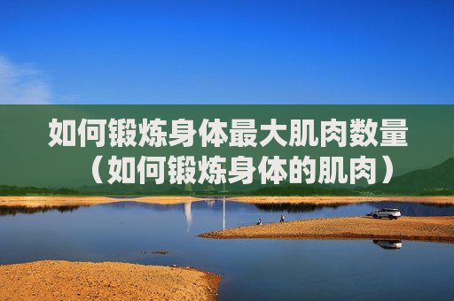 如何锻炼身体最大肌肉数量（如何锻炼身体的肌肉）