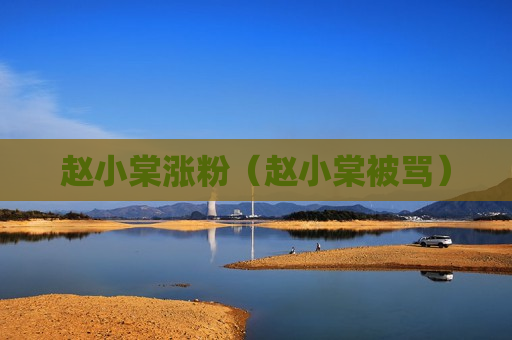 赵小棠涨粉（赵小棠被骂）