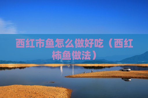 西红市鱼怎么做好吃（西红柿鱼做法）