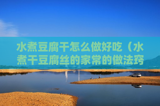 水煮豆腐干怎么做好吃（水煮干豆腐丝的家常的做法窍门）