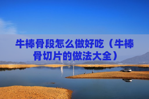 牛棒骨段怎么做好吃（牛棒骨切片的做法大全）