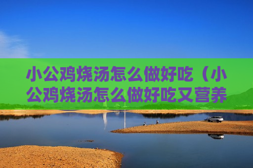 小公鸡烧汤怎么做好吃（小公鸡烧汤怎么做好吃又营养）