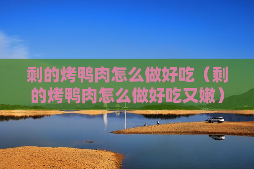 剩的烤鸭肉怎么做好吃（剩的烤鸭肉怎么做好吃又嫩）