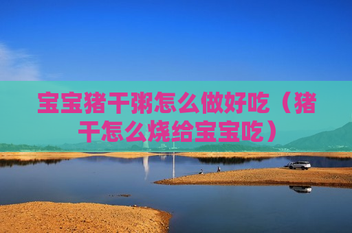 宝宝猪干粥怎么做好吃（猪干怎么烧给宝宝吃）