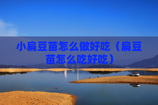 小扁豆苗怎么做好吃（扁豆苗怎么吃好吃）