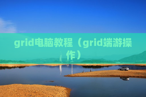 grid电脑教程（grid端游操作）