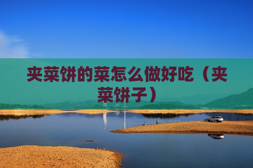 夹菜饼的菜怎么做好吃（夹菜饼子）