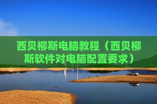 西贝柳斯电脑教程（西贝柳斯软件对电脑配置要求）