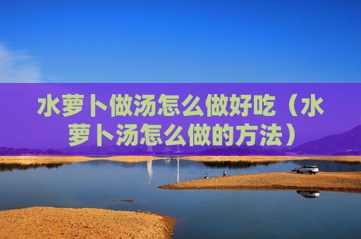 水萝卜做汤怎么做好吃（水萝卜汤怎么做的方法）