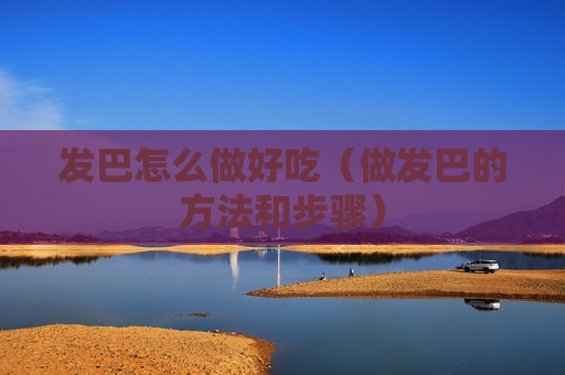 发巴怎么做好吃（做发巴的方法和步骤）