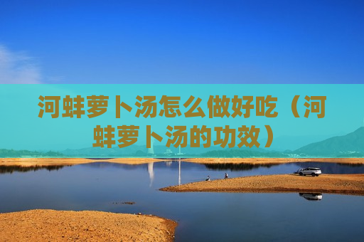 河蚌萝卜汤怎么做好吃（河蚌萝卜汤的功效）