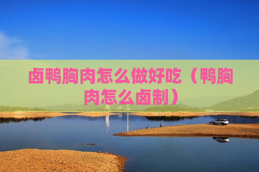 卤鸭胸肉怎么做好吃（鸭胸肉怎么卤制）