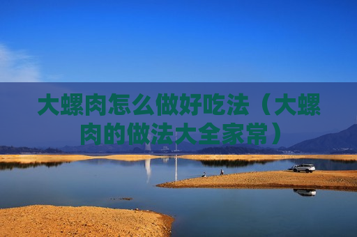 大螺肉怎么做好吃法（大螺肉的做法大全家常）