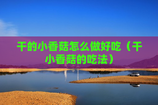 干的小香菇怎么做好吃（干小香菇的吃法）
