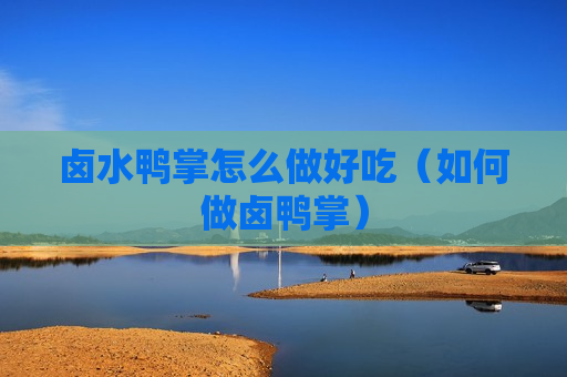 卤水鸭掌怎么做好吃（如何做卤鸭掌）
