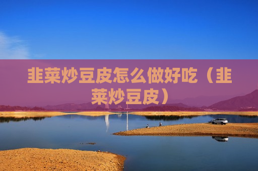 韭菜炒豆皮怎么做好吃（韭莱炒豆皮）