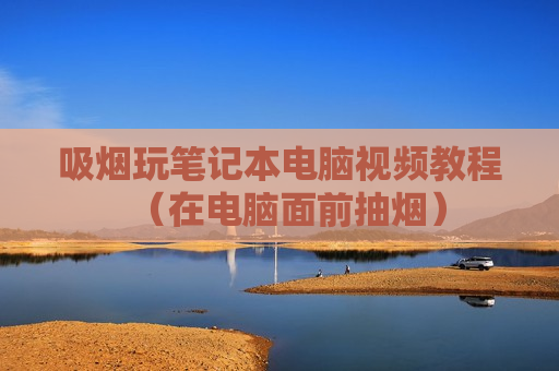 吸烟玩笔记本电脑视频教程（在电脑面前抽烟）