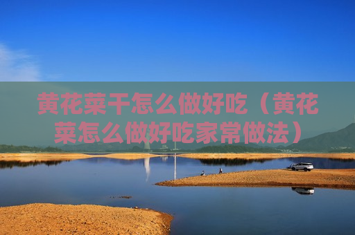 黄花菜干怎么做好吃（黄花菜怎么做好吃家常做法）