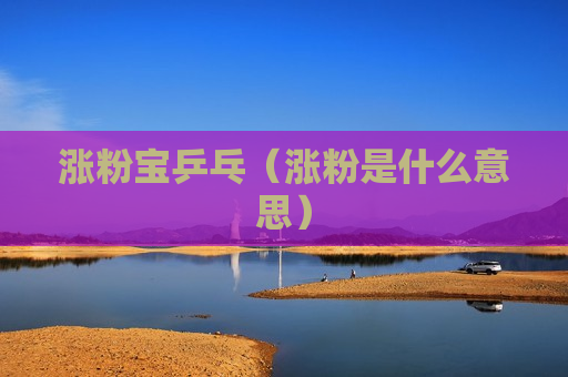 涨粉宝乒乓（涨粉是什么意思）