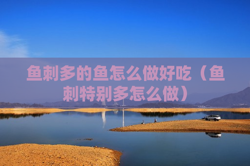 鱼刺多的鱼怎么做好吃（鱼刺特别多怎么做）