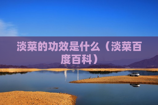 淡菜的功效是什么（淡菜百度百科）