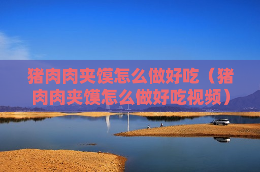 猪肉肉夹馍怎么做好吃（猪肉肉夹馍怎么做好吃视频）