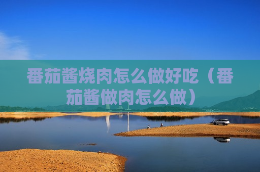 番茄酱烧肉怎么做好吃（番茄酱做肉怎么做）