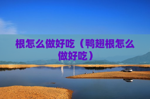 根怎么做好吃（鸭翅根怎么做好吃）
