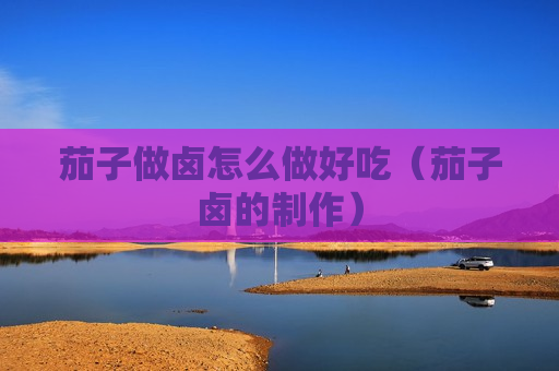 茄子做卤怎么做好吃（茄子卤的制作）