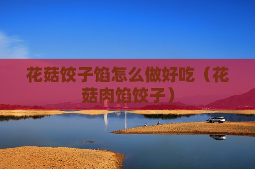 花菇饺子馅怎么做好吃（花菇肉馅饺子）