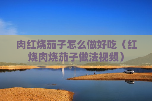 肉红烧茄子怎么做好吃（红烧肉烧茄子做法视频）