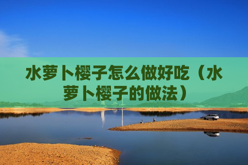 水萝卜樱子怎么做好吃（水萝卜樱子的做法）