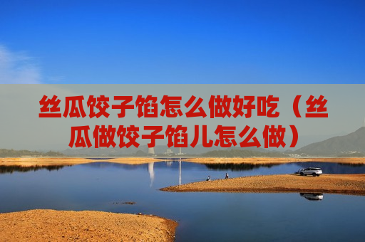 丝瓜饺子馅怎么做好吃（丝瓜做饺子馅儿怎么做）