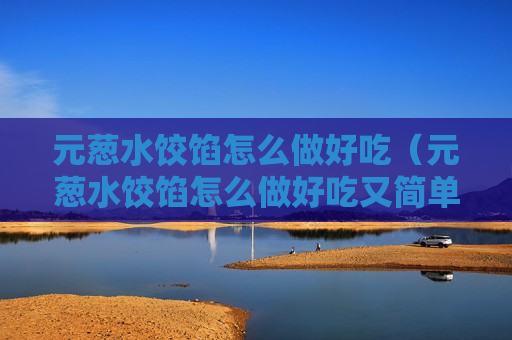 元葱水饺馅怎么做好吃（元葱水饺馅怎么做好吃又简单）