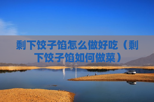 剩下饺子馅怎么做好吃（剩下饺子馅如何做菜）