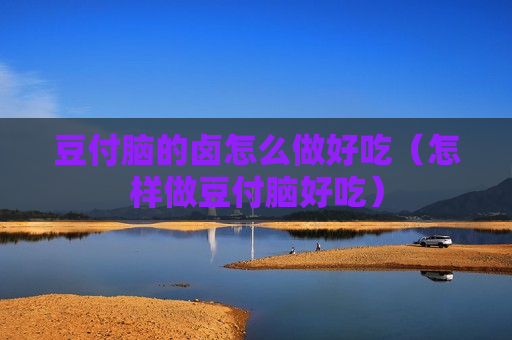 豆付脑的卤怎么做好吃（怎样做豆付脑好吃）