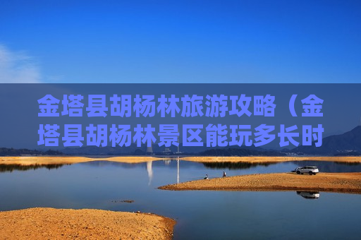 金塔县胡杨林旅游攻略（金塔县胡杨林景区能玩多长时间）