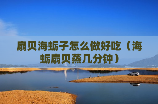 扇贝海蛎子怎么做好吃（海蛎扇贝蒸几分钟）