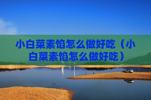小白菜素馅怎么做好吃（小白菜素馅怎么做好吃）