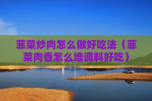 菲菜炒肉怎么做好吃法（菲菜肉香怎么培调料好吃）