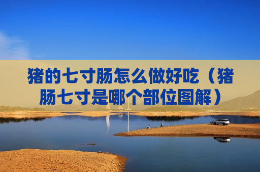猪的七寸肠怎么做好吃（猪肠七寸是哪个部位图解）