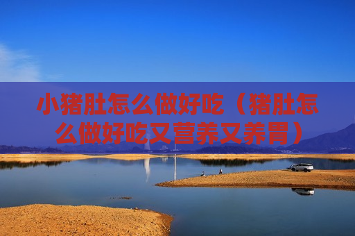 小猪肚怎么做好吃（猪肚怎么做好吃又营养又养胃）