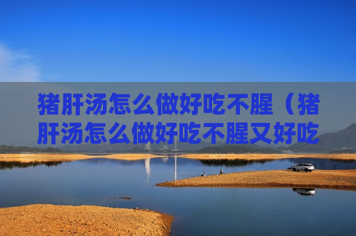 猪肝汤怎么做好吃不腥（猪肝汤怎么做好吃不腥又好吃）