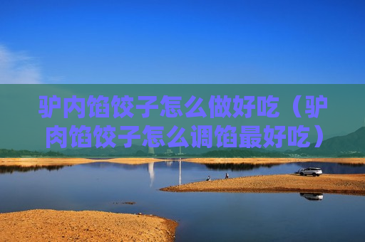 驴内馅饺子怎么做好吃（驴肉馅饺子怎么调馅最好吃）
