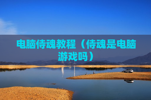 电脑侍魂教程（侍魂是电脑游戏吗）