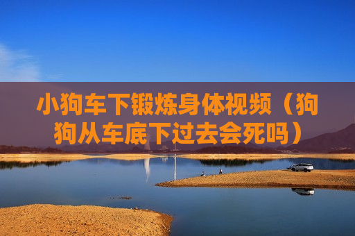 小狗车下锻炼身体视频（狗狗从车底下过去会死吗）