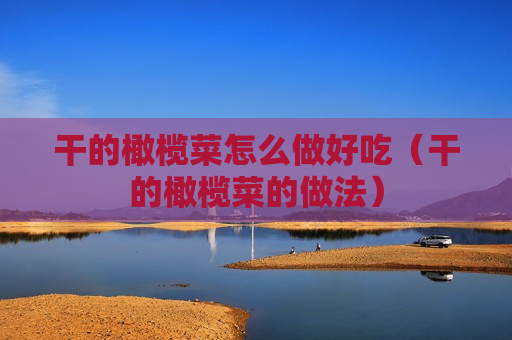 干的橄榄菜怎么做好吃（干的橄榄菜的做法）