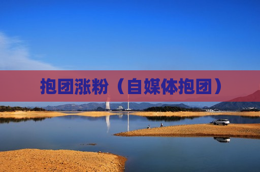 抱团涨粉（自媒体抱团）