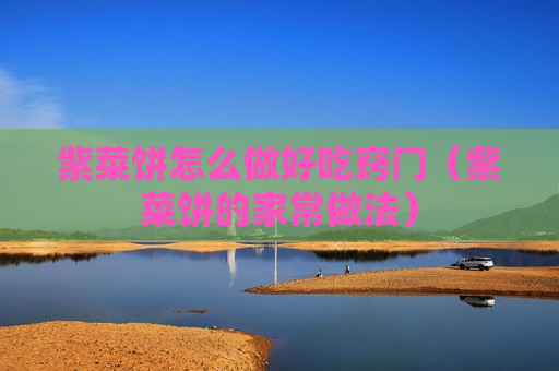 紫菜饼怎么做好吃窍门（紫菜饼的家常做法）