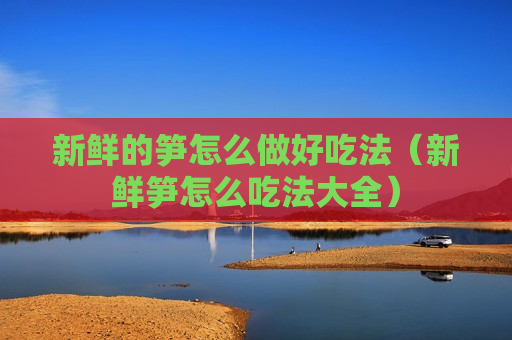 新鲜的笋怎么做好吃法（新鲜笋怎么吃法大全）